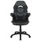 Emma and Oliver Z100 Gaming Chair Racing Office Ergonomic Computer PC Adjustable Swivel Chair